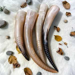 Polished <b>Buffalo</b> <b>Horn</b> Natural Shape Rustic Home Decoration Durable Crafted <b>Horns</b> At Best Price - Product Image 1
