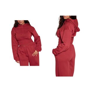 Ensemble survêtement décontracté 2 pièces pour femme : crop top à capuche et pantalon jogger taille haute, couleur unie, vente en gros - Product Image 1