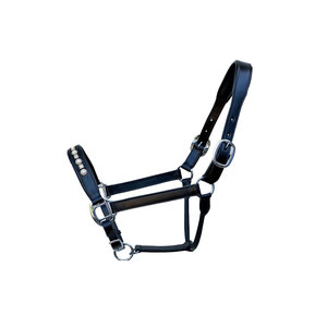 Nylon Horse Halter With Green And Stripes Brass Hardware For <b>Equestrian</b> Use - Product Image 2