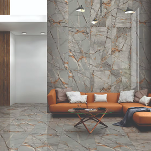 กระเบื้องปูพื้นและผนังพอร์ซเลน Modern Thunder Gris ผิวด้าน ทนกรด สำหรับตกแต่งภายใน วิลล่า โรงพยาบาล ขนาด 60x120 ซม. - Product Image 1