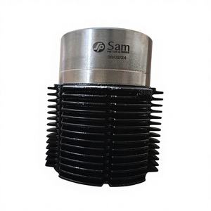 Kit de piston de cylindre robuste pour moteur diesel monocylindre refroidi par air pour Tuk Tuk BS4 Marché Sénégal - Product Image 1