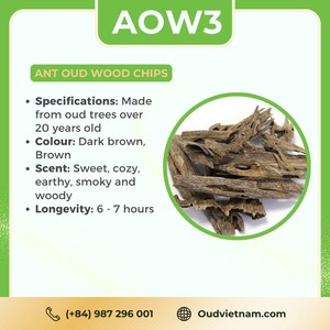 Incienso de Madera de Sándalo Orgánico de Vietnam OUD VIETNAM Modelo AOW3 Antiolor con Aroma Duradero para Todas las Estaciones - Product Image 2