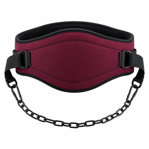 Cinturón de Levantamiento de Pesas Personalizado 2026 con Cadena para Hombres y Mujeres, para Soporte en Levantamiento de Pesas y Fitness, Venta al Por Mayor - Product Image 3