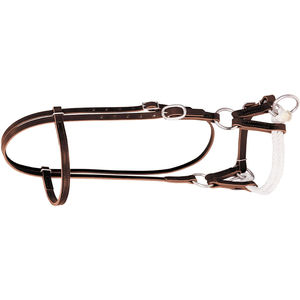 Brida de Cuero Hashmi Sons de Primera Calidad, Transpirable, Fácil de Usar, de Alta Calidad, con Logotipo Personalizado y Color Personalizable - Product Image 4