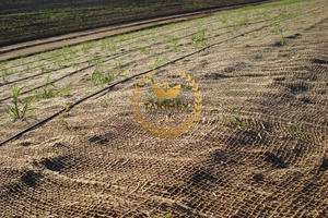 Filet en fibre de coco biodégradable 100 % naturel et durable pour le contrôle de l'érosion des sols, prévention des glissements de terrain, en provenance du Vietnam - Product Image 6