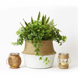 Foldable <b>Belly</b> Seagrass <b>Baskets</b> Cheap Wholesale Home Storage Vietnam Natural Woven Home and Gardens Products - Product Image 4