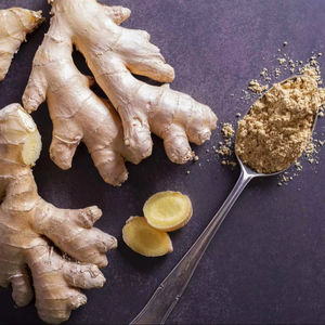 Gingembre Frais Biologique de Qualité Exceptionnelle, Vente en Gros au Meilleur Prix, Gingembre Frais en Vrac, Légume Frais de Qualité Supérieure - Product Image 1