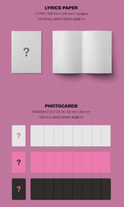 Stray Kids MAXIDENT T CRUSH HEART Version Aléatoire Version Officielle CD K-Pop - Product Image 4