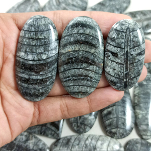 Vente en gros de pierres précieuses naturelles d'Orthocéras, cabochons en vrac, cristaux de guérison, vente en gros en vrac, Inde - Product Image 1