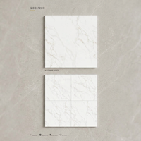 1200x1200 Dalle de marbre de luxe Arcelli Gris 120x120 Carreaux de marbre en porcelaine pour la décoration de la maison Carreaux muraux en céramique 4x4 pieds