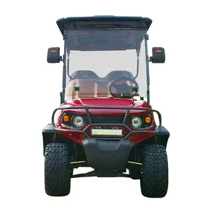 Nhà máy nóng trực tiếp Thương hiệu mới được thiết kế xe golf có động cơ với 2 chỗ ngồi để bán