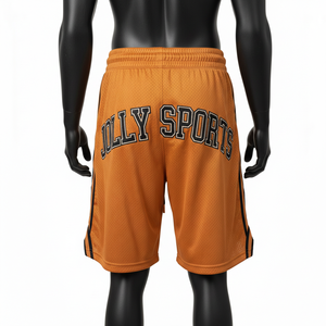 Pantalones Cortos de Baloncesto de Malla de Poliéster Premium de 180 GSM, Color Naranja Óxido, con Parche de Chenilla, Etiqueta Tejida y Panel de Rayas - Product Image 2