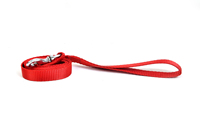 Collier d'entraînement pour chien en nylon rouge réglable avec fermeture à boucle pour usage quotidien