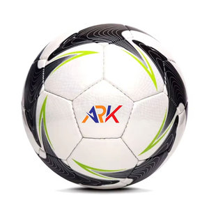 Ballon de football professionnel longue durée, panneaux robustes, idéal pour l'entraînement - Product Image 1