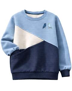 Sweat-shirt en molleton personnalisé bleu ciel marine avec broderie d'oiseaux pour femme, mélange de coton, col rond, hiver, sur mesure OEM ODM - Product Image 1