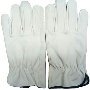 Guantes Térmicos/Aislantes de Poliéster Unisex de Primera Calidad con Pantalla Táctil para Ciclismo, Conducción, Construcción, Industria, Minería y Seguridad - Product Image 2