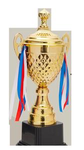 Trophée de présentation en métal personnalisé, fabrication exclusive en Inde, pour la reconnaissance des employés, les cérémonies d'entreprise et les événements annuels - Product Image 5