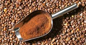 Café moulu torréfié Arabica biologique du Vietnam de haute qualité G1 G2 certifié ISO 22000 Fournisseur en gros 1000 kg Marque TNFOOD - Product Image 5