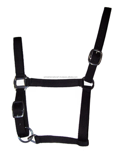 Calidad Inglés Saddle Style Horse Halter Totalmente ajustable PP Material Todos los tamaños Equipo de Equitación-Todos los tamaños Caballo - Product Image 1