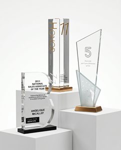 Medalla Personalizada de Acrílico y Bronce, Reconocimiento Premium Duradero para Eventos Corporativos y Celebraciones Especiales - Product Image 1