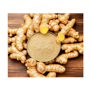 Poudre de gingembre pure, gingembre sec moulu finement, épice pour usage culinaire, pâtisserie, boissons et fabrication alimentaire - Product Image 1