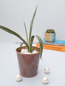 Maceta de escritorio de Metal Rosa Burdeos totalmente personalizable para el jardín del hogar decoración de exteriores y guardería acabado recubierto de polvo - Product Image 4