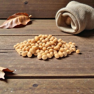 Graines de soja biologiques non OGM pour les producteurs professionnels, les fermes commerciales et les projets agricoles à long terme - Product Image 5