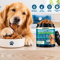 Suplemen Pencernaan Anjing Bentuk Kunyah Tablet Labu Probiotik Multivitamin Penyerapan Cepat Kesehatan Usus Dukungan Imunitas Bebas Biji-bijian OEM