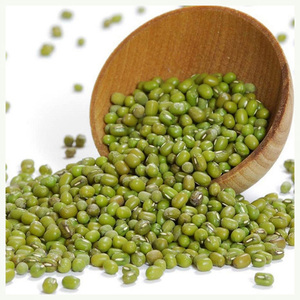 Cleaned Premium Grade Green Mung <b>Beans</b> - Product Image 4