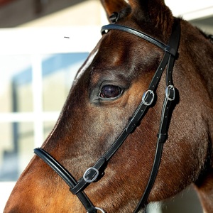 New Trendy Custom Logo Durable Western Leather Bridle <b>Equestrian</b> Horse Riding Padded Snaffle Dressage Racing Outdoor Sports - Product Image 2