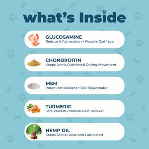 ADINS International Hip Joint Glucosamine Hemp Treat saveur poulet, friandises à mâcher souples pour chiens de tous âges et de toutes races, soutien à la santé des articulations - Product Image 4