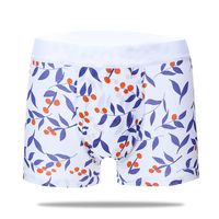 Caleçons Boxers Confortables pour Hommes Sans Coutures, Taille Mi-Haute, en Modal Tricoté Respirant, Vente en Gros, Logo Personnalisé, OEM 2026, Couleurs Personnalisées