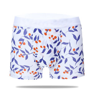 Ropa Interior Masculina sin Costuras al por Mayor, Shorts Cómodos de Algodón, Ropa Interior Transpirable para Hombre, Diseño Personalizado OEM 2026 - Product Image 5