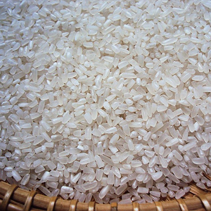 ข้าวหักเกรดอาหารคุณภาพสูงพร้อมส่งขายส่ง ขายส่งจำนวนมาก คุณภาพพรีเมียมสำหรับส่งออก - Product Image 6