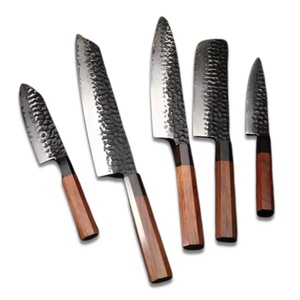 Juego de Cuchillos de Chef Profesionales de Acero al Carbono de 5 Piezas, Hechos a Mano por Ahmad Fabric, Mango de Resina, Funda de Cuero, Diseño Moderno, Personalizable - Product Image 1