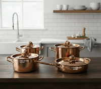 Ensemble de casseroles martelées écologiques en acier inoxydable de luxe avec couvercles en acier inoxydable pour la restauration à domicile – Vente en gros