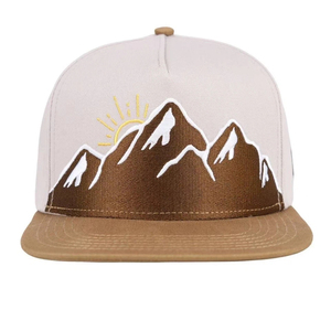 Casquette de baseball sportive Oxford Dobby 2026 la plus vendue, nouvelle collection Team Era pour adulte, broderie 3D, logo personnalisé, vente en gros - Product Image 2