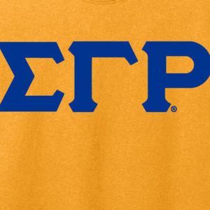 Camiseta con Letras Griegas Sigma Gamma Rho 3, Ropa Personalizada para Hermandades, Camiseta Casual de Algodón de Manga Corta con Cuello Redondo y Logotipo Bordado - Product Image 6