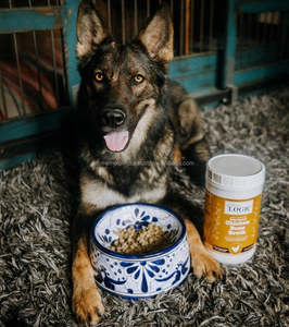 Cuenco de alimentación de forma redonda de cerámica blanca para cachorros, bebedero de agua de acero y madera perfecto para alimentación de almacenamiento de alimentos para mascotas domésticas - Product Image 4