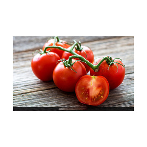 Tomates Frescos de Primera Calidad, Tomates Rojos Cereza, Tomates Indios en Caja para Exportación - Product Image 1