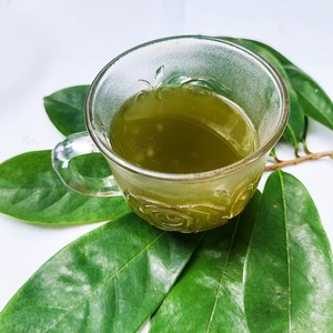 Dried Soursop Leaves Fermented Broken <b>Tea</b> Brew Hot Water Organic Health <b>Tea</b> Non Sugar 50gr <b>Box</b> Packaging EXPAD CO Grade a - Product Image 5
