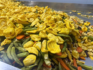Mezcla de Frutas y Verduras Deshidratadas Fritas al Vacío: Mango, Jaca, Plátano, Fresa, Pitaya, Okra, Melón Amargo, Zanahoria, Calabaza - Product Image 3