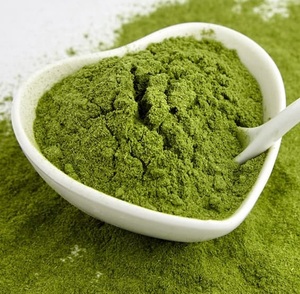 Polvo de Pasto de Cebada de Alta Calidad al por Mayor, Empaque Personalizado, Suministro a Granel, Polvo Natural de Plantas Verdes para Mercados de Exportación Globales - Product Image 3