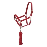 Ensemble de licols et rênes rembourrés en nylon pour chevaux, réglables, pour l'entraînement équestre, avec ferrures or rose, vente en gros, fournisseur