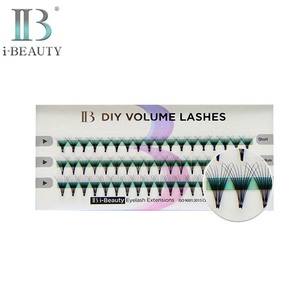 Eyelash <b>Extension</b> - Ib Premium DIY Volume Eyelashes (SP-DIY1) Individual <b>Lash</b> South Korea top Quality High quality - Product Image 1