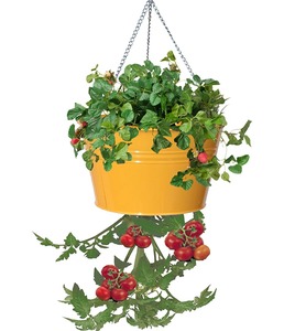 Pots à fleurs suspendus en métal jaune, style rustique, revêtement poudré, pour l'intérieur et l'extérieur - Product Image 6