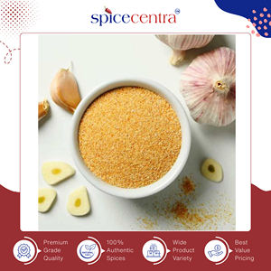 Poudre d'ail séché naturel pur de qualité export, saveur authentique, best-seller, épices pour la cuisine, marque India Spicecentra - Product Image 2