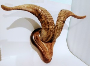 Par de cuernos naturales de oveja/berberisco para decoración. Cuerno decorativo de berberisco con correa de cuero para colgar en la pared. - Product Image 3