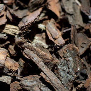 Chips de Corteza de Pino para Plantas de Orquídeas, Producto Herbal Seco Crudo, Marca CareQue, Origen Rajasthan, Vida Útil de 18 Meses - Product Image 4