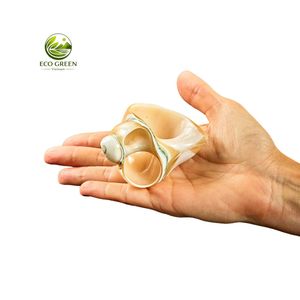 Lot de 12 anneaux de serviette en coquillages marins artisanaux pour décoration de table de mariage et de banquet - Product Image 3